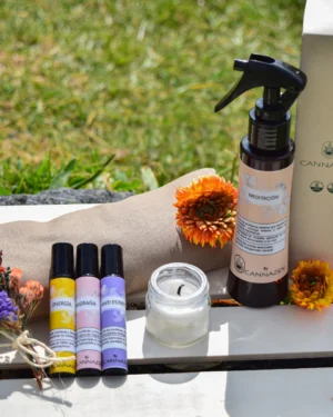 Ritual Meditación: Encuentra la Armonía en Cuerpo y Espíritu